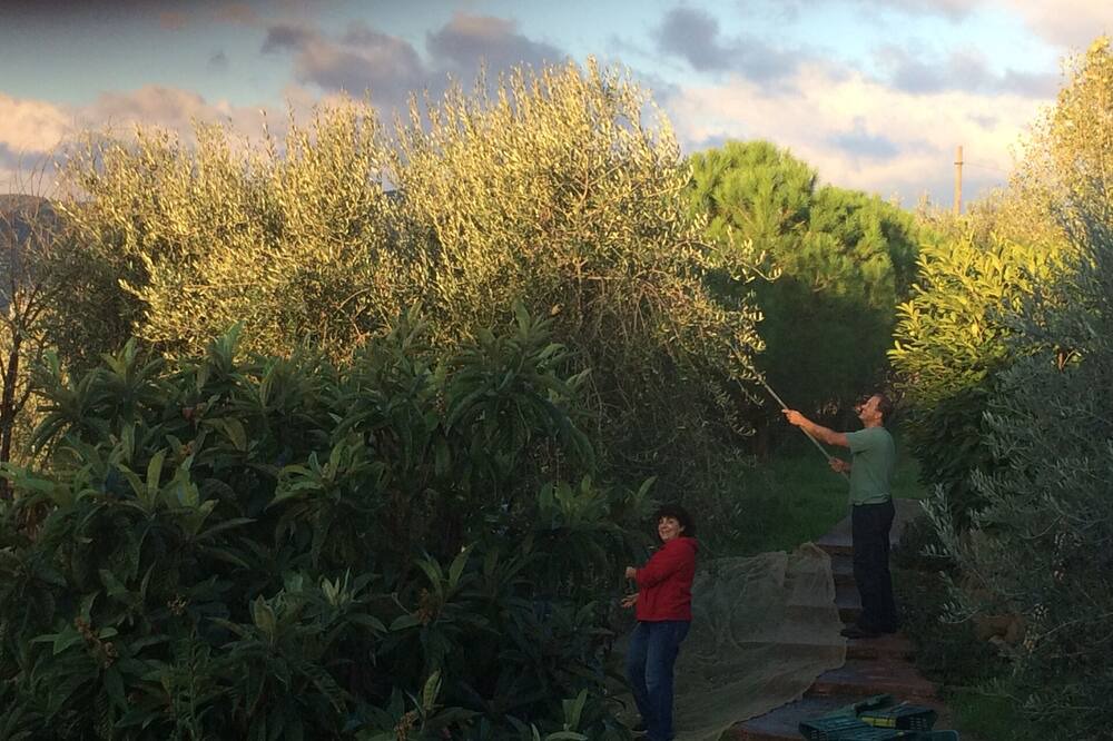 Photo of Outdoor in Panicale