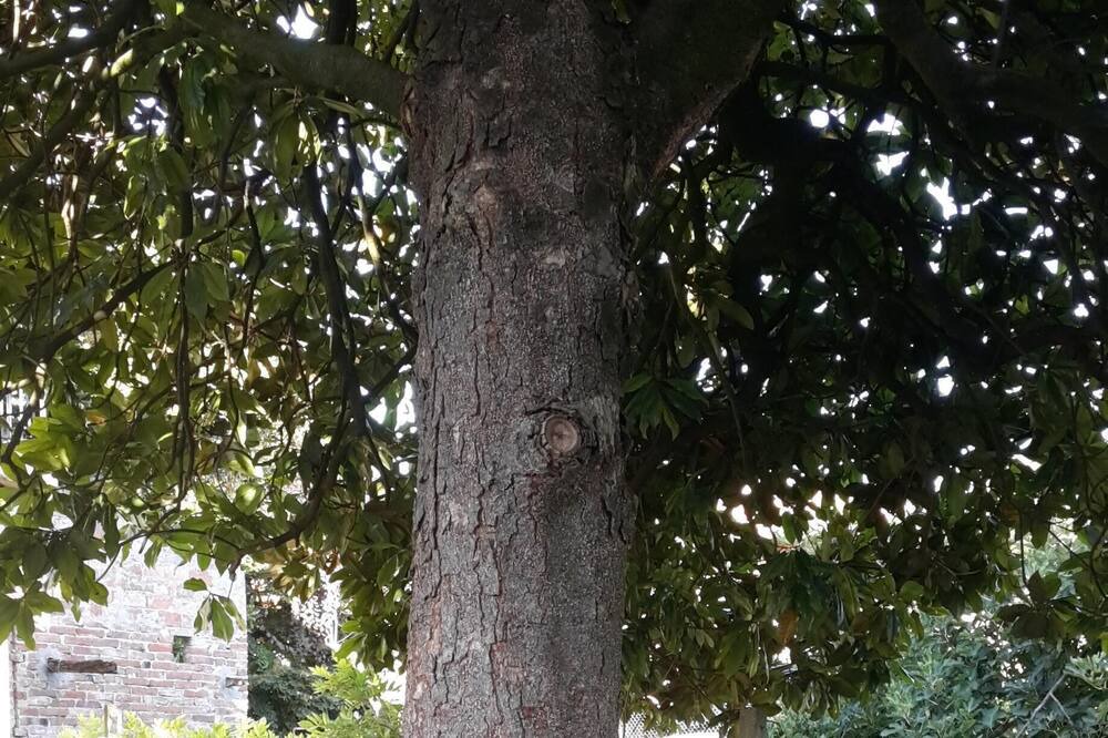 Photo of Others in Gabiano