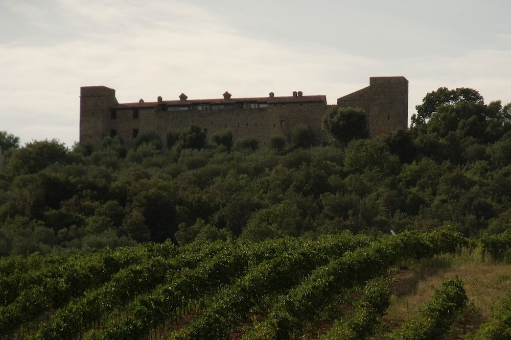 Photo of Others in Monte Vibiano Vecchio