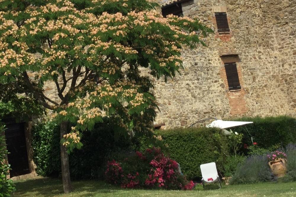 Photo of Outdoor in Monte Vibiano Vecchio