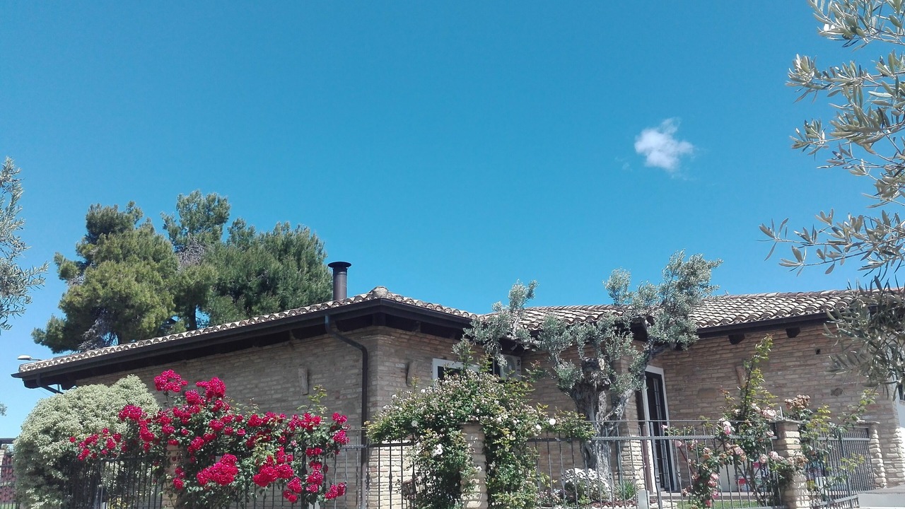 Photo of Outdoor in Francavilla al Mare