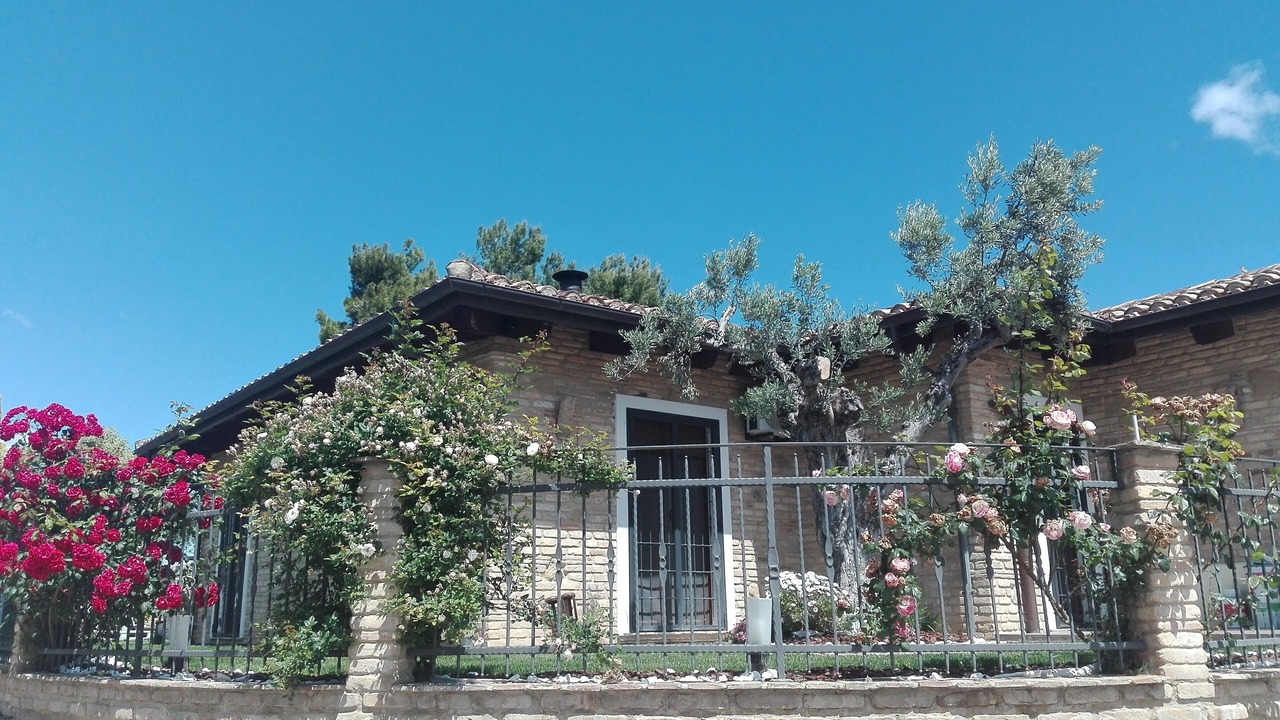 Photo of Outdoor in Francavilla al Mare