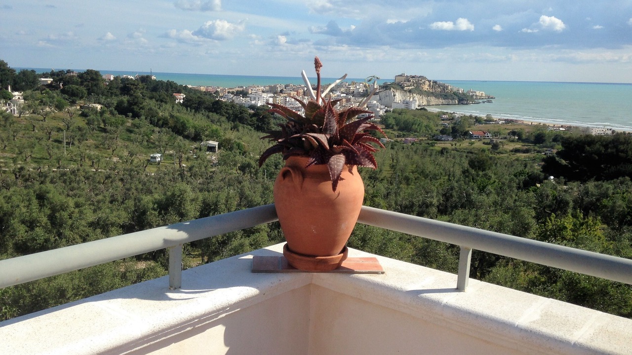 Photo of Outdoor in Scialara