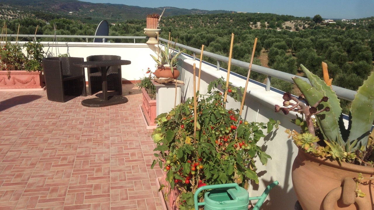 Photo of Patio Balcony in Scialara