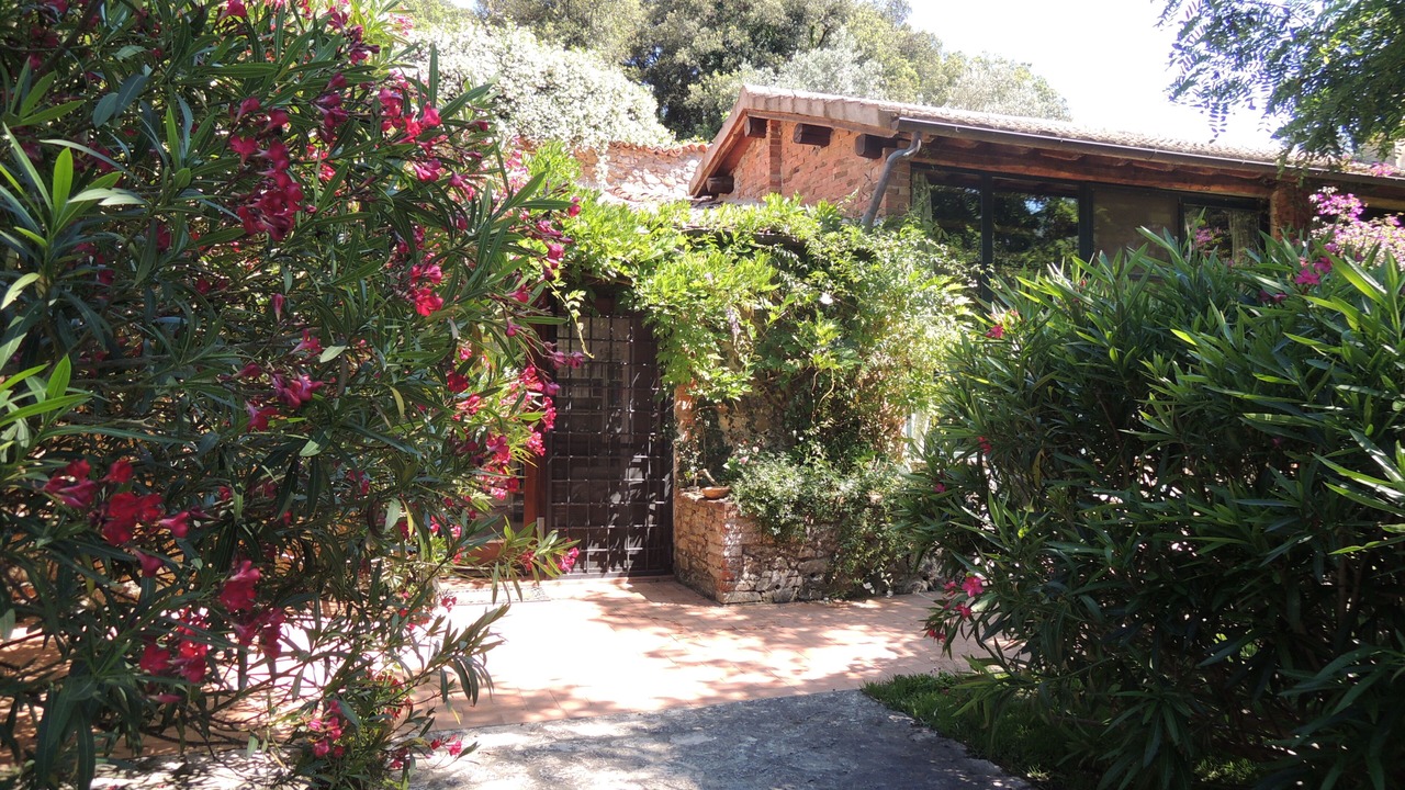 Photo of Outdoor in Porto Ercole