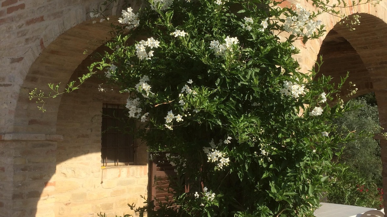 Photo of Outdoor in Monteleone di Fermo