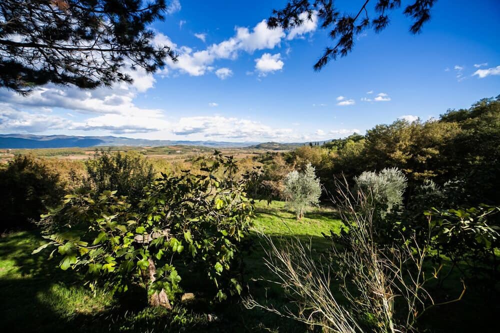 Photo of Others in Anghiari