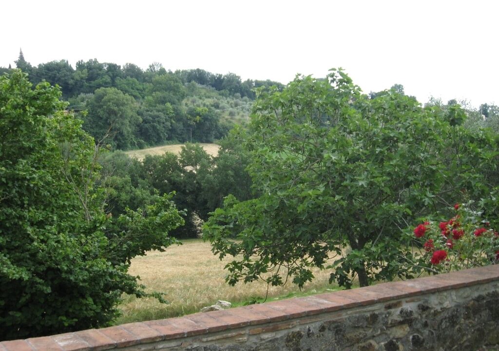 Photo of Others in Sambucetole