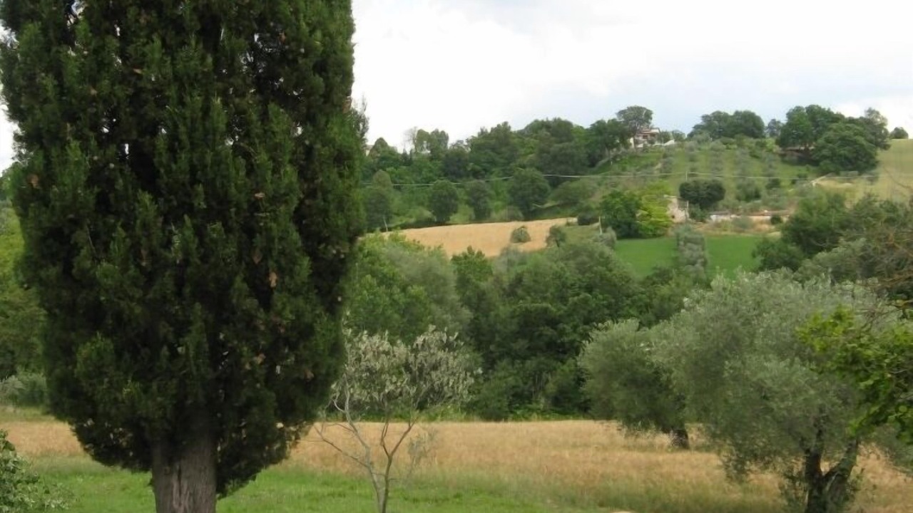 Photo of Others in Sambucetole