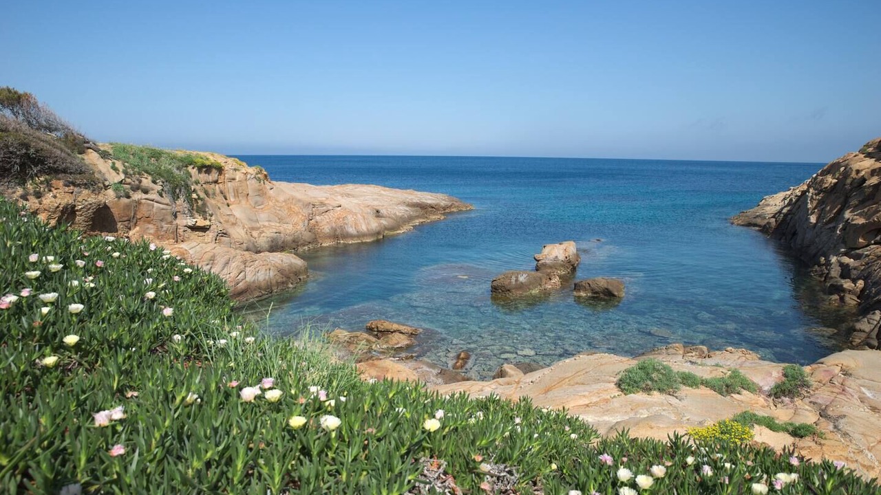 Photo of Others in Isola del Giglio