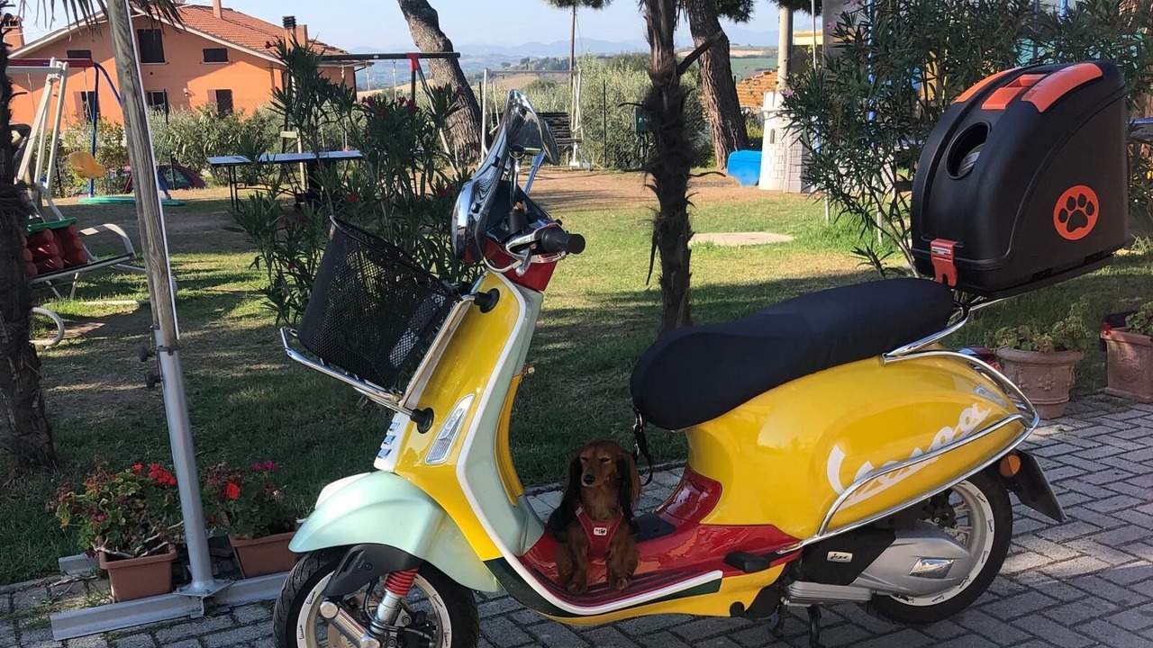 Photo of Outdoor in Stacciola