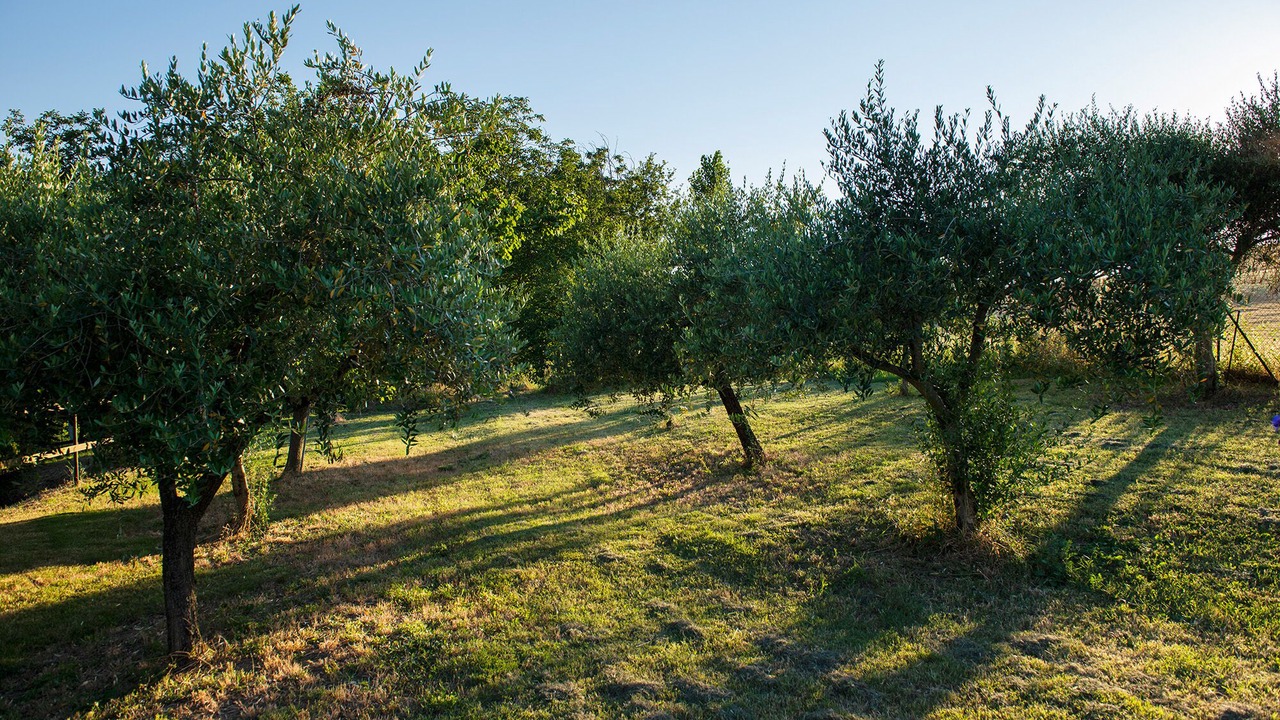 Photo of Outdoor in Montefano