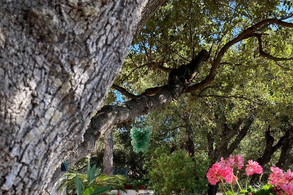 Photo of Outdoor in Porto Santo Stefano