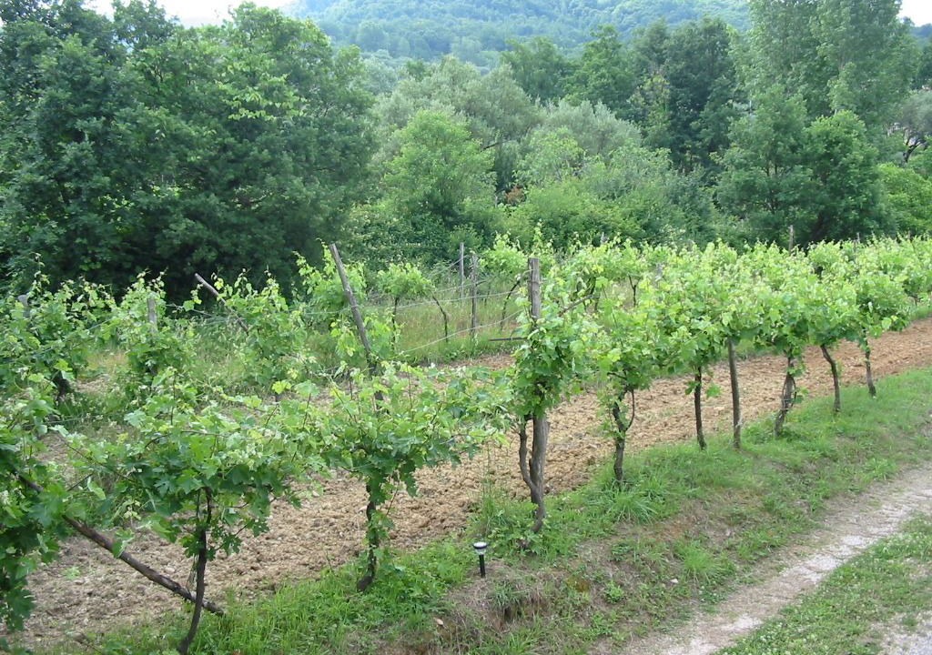Photo of Outdoor in Ceraso