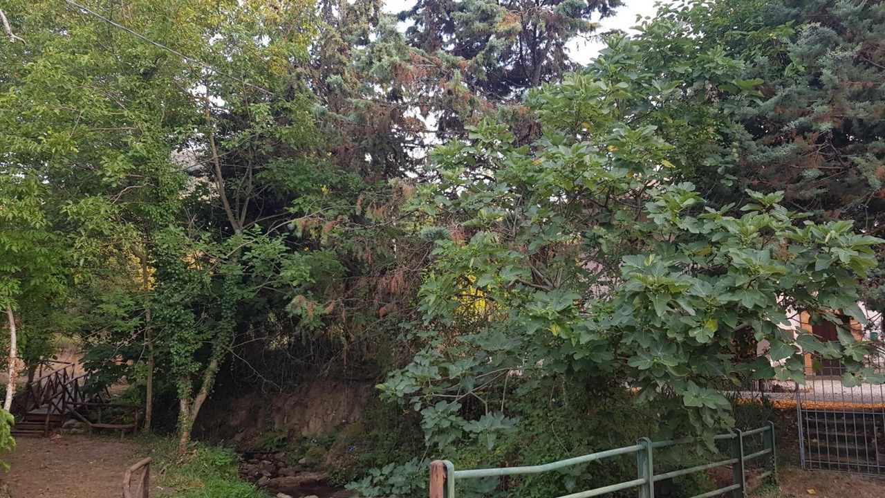 Photo of Outdoor in Ceraso