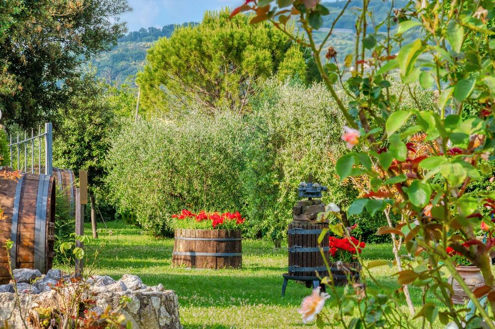 Photo of Outdoor in Bettona