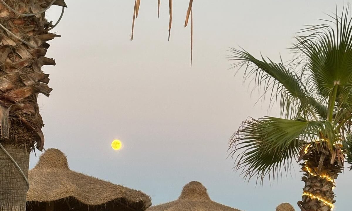 Photo of Outdoor in Manfredonia