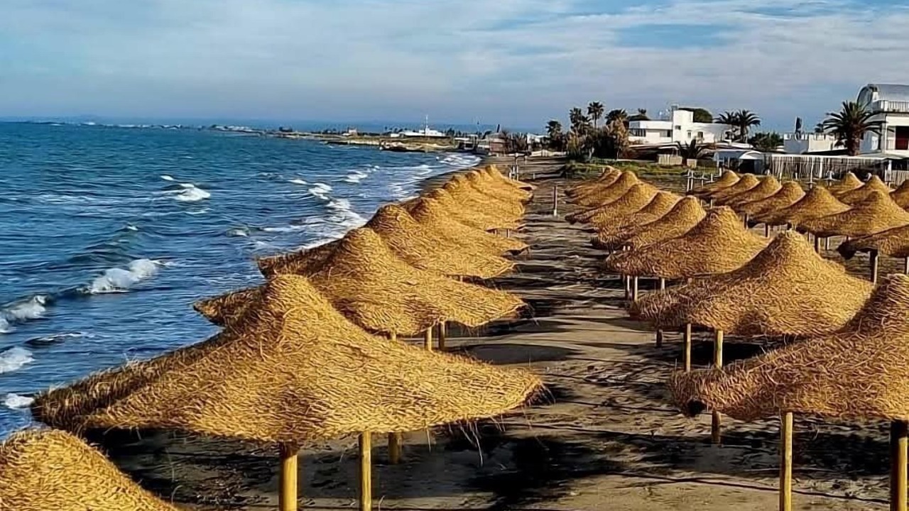 Photo of Others in Manfredonia