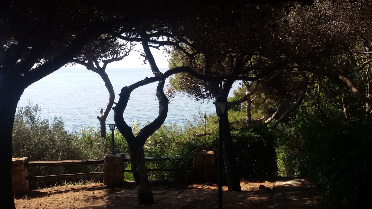 Photo of Outdoor in Porto Ercole