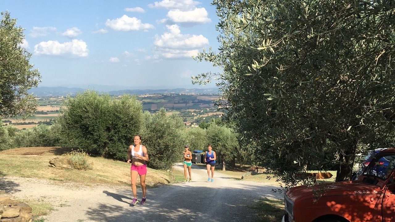 Photo of Outdoor in Cibottola