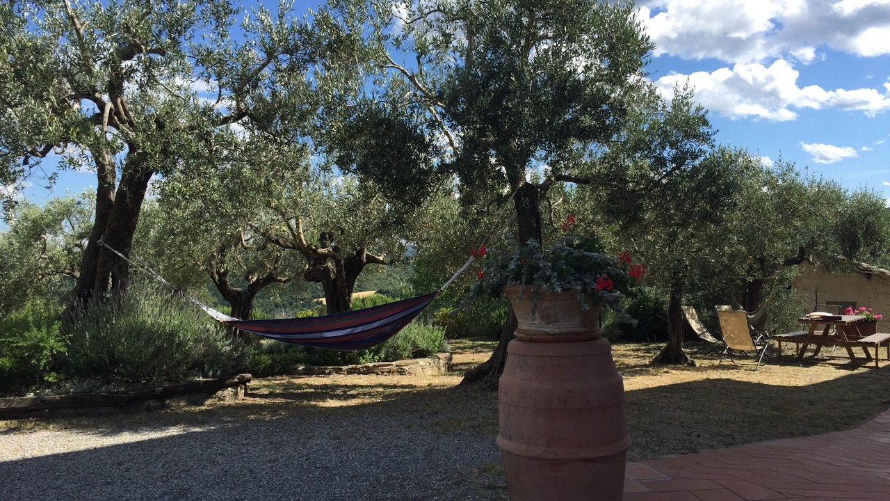 Photo of Outdoor in Cibottola