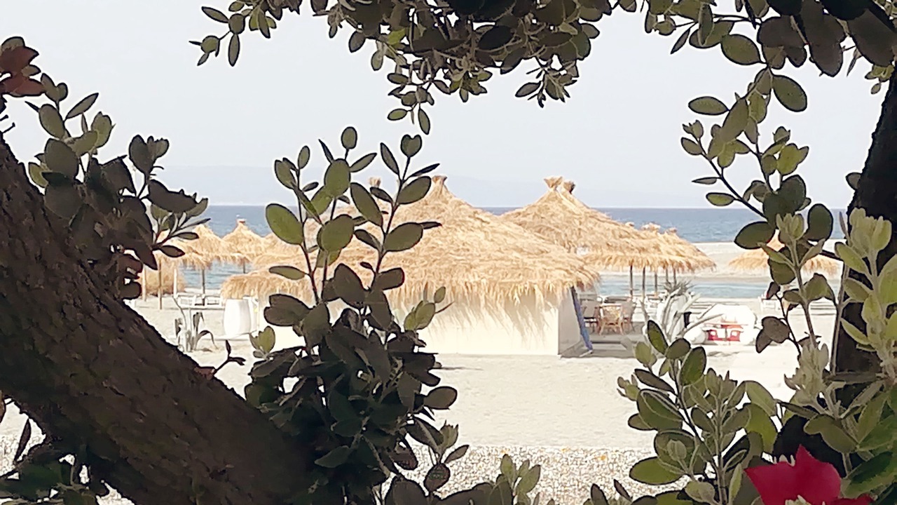 Photo of Others in Gizzeria Lido