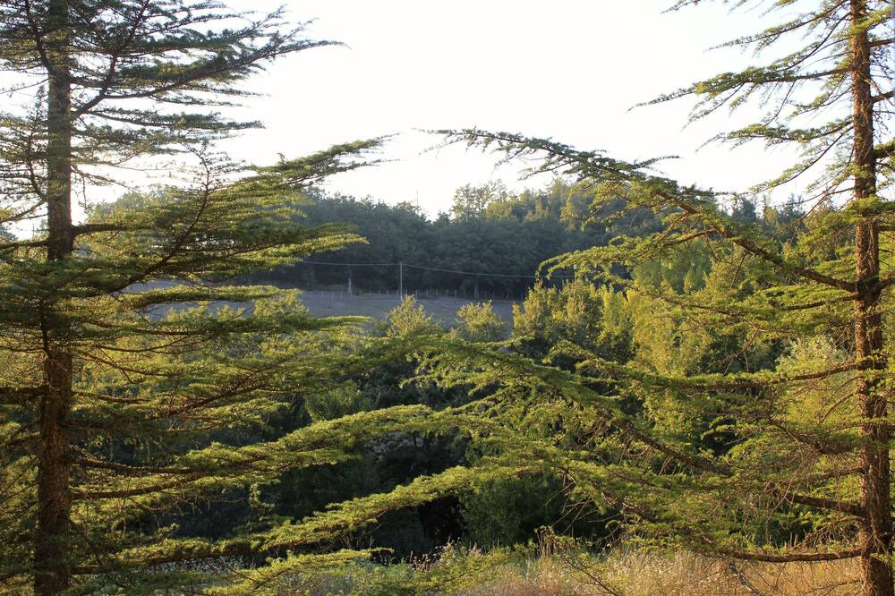 Photo of Outdoor in Montieri