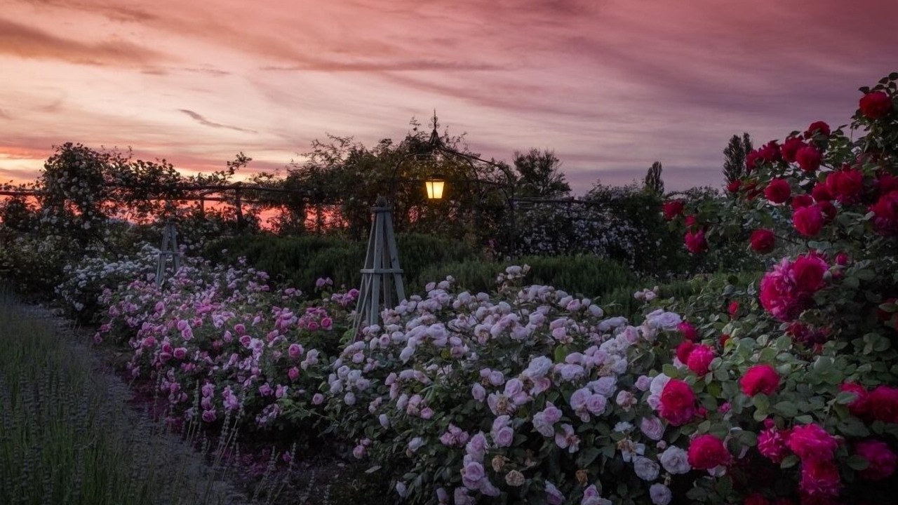 Photo of Outdoor in Castelnuovo