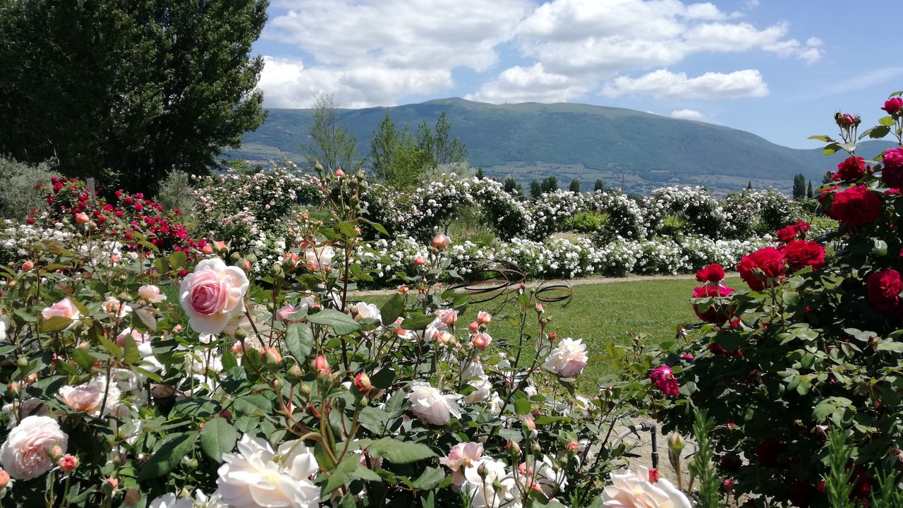 Photo of Outdoor in Castelnuovo