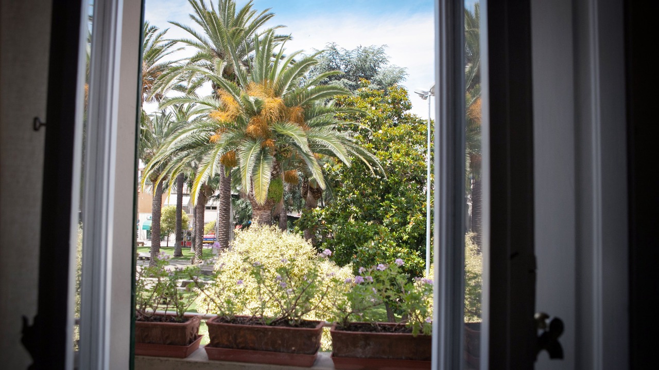 Photo of Others in Follonica