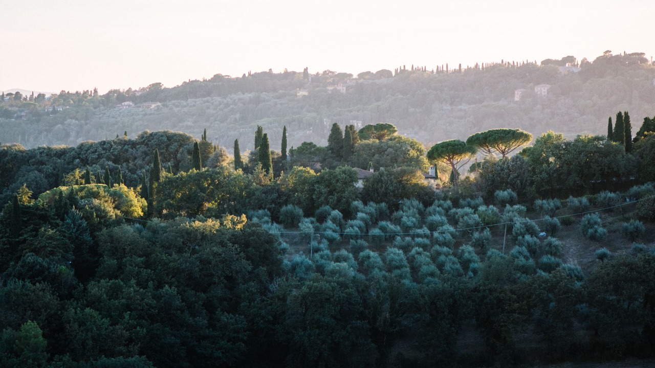Photo of Others in Perugia