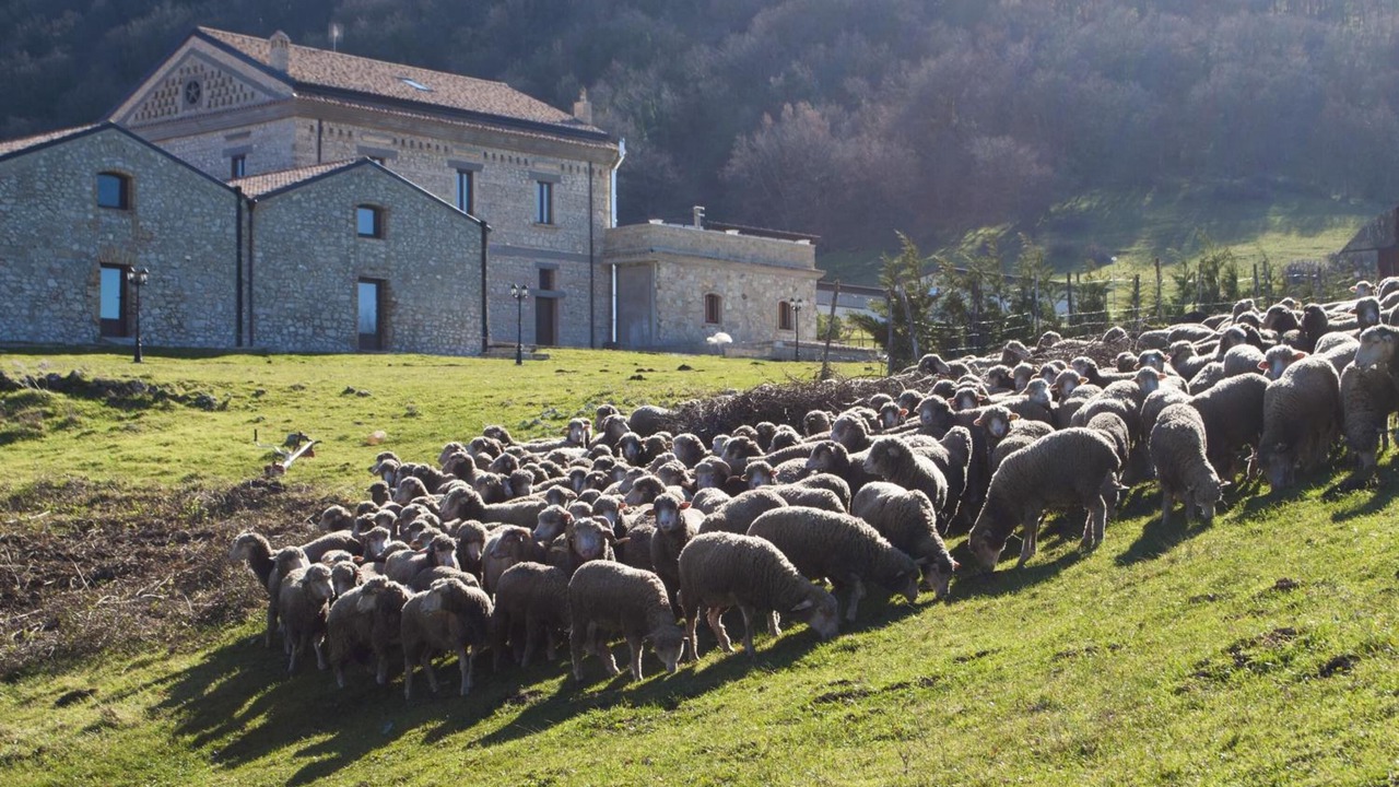 Photo of Outdoor in Bovino