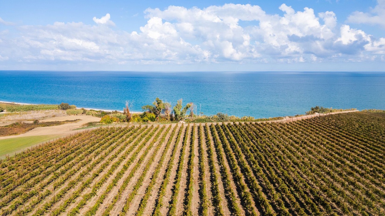 Photo of Others in Vasto