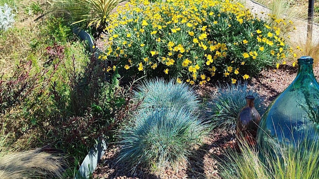 Photo of Outdoor in Alviano