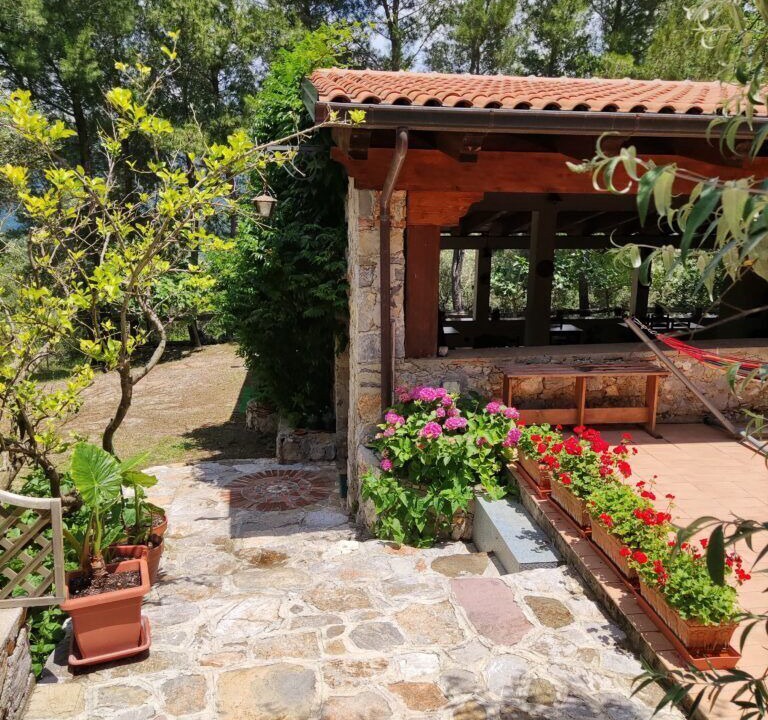Photo of Outdoor in Camerota
