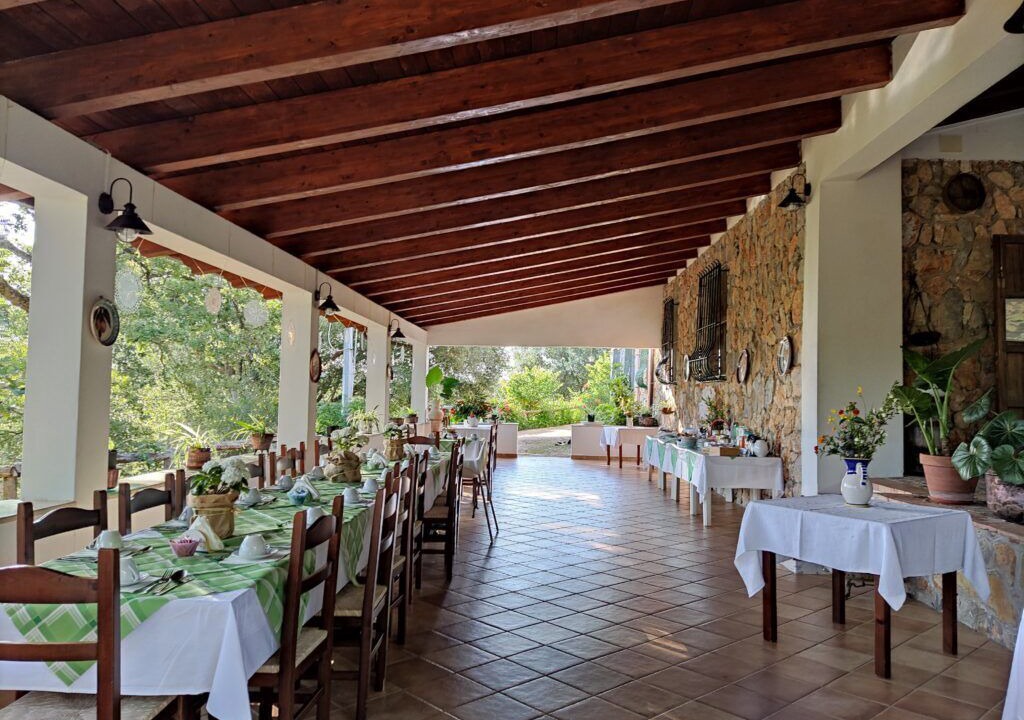 Photo of Outdoor in Camerota