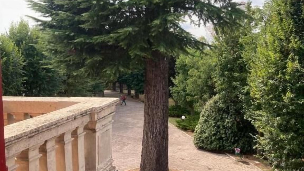 Photo of Patio Balcony in Rocca D'Arazzo