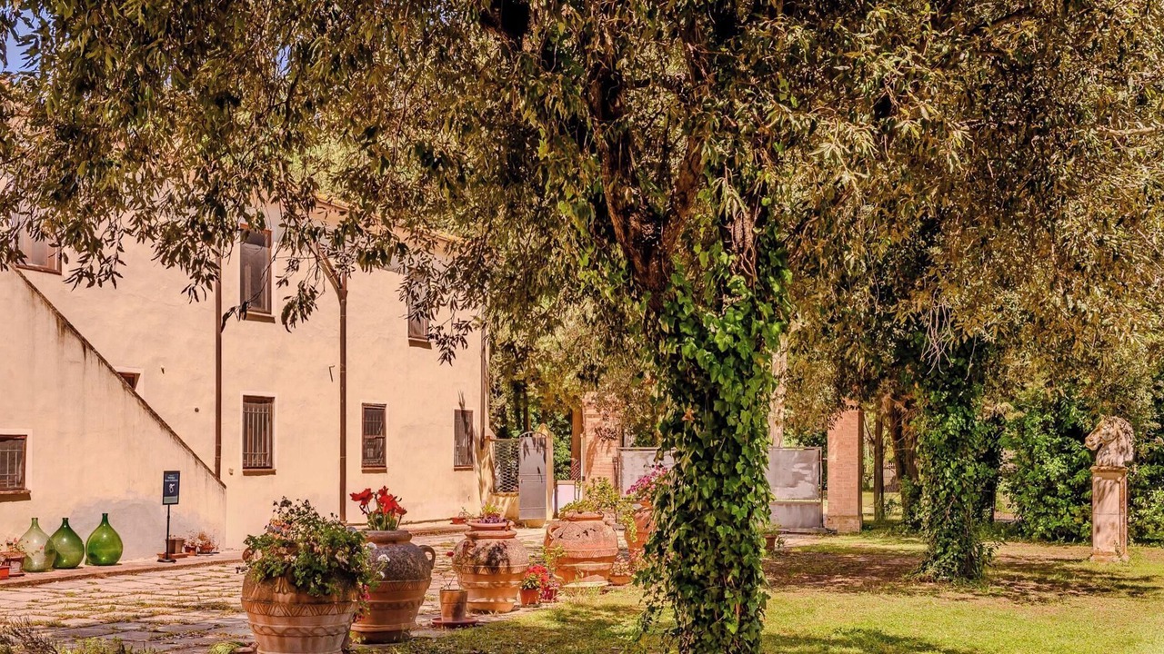 Photo of Outdoor in Grosseto