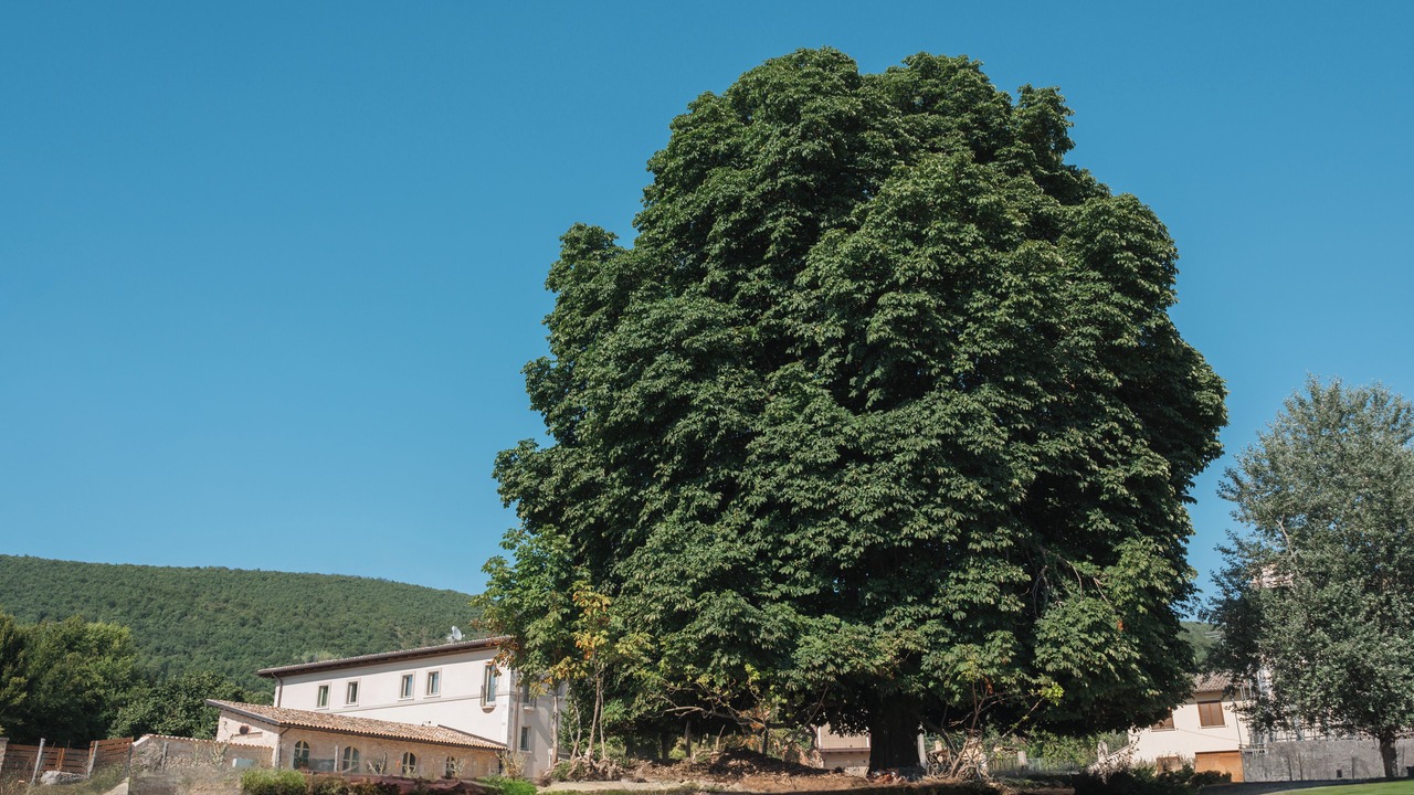 Photo of Outdoor in Serravalle
