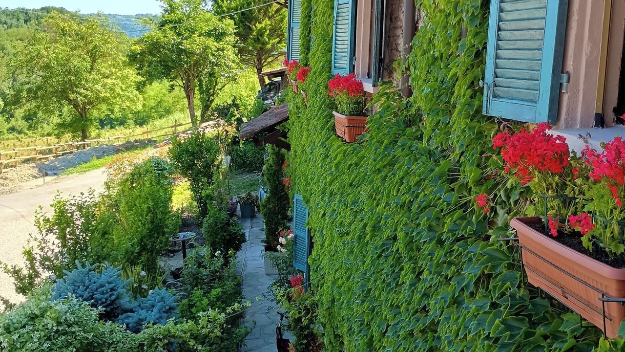 Photo of Outdoor in Bistagno