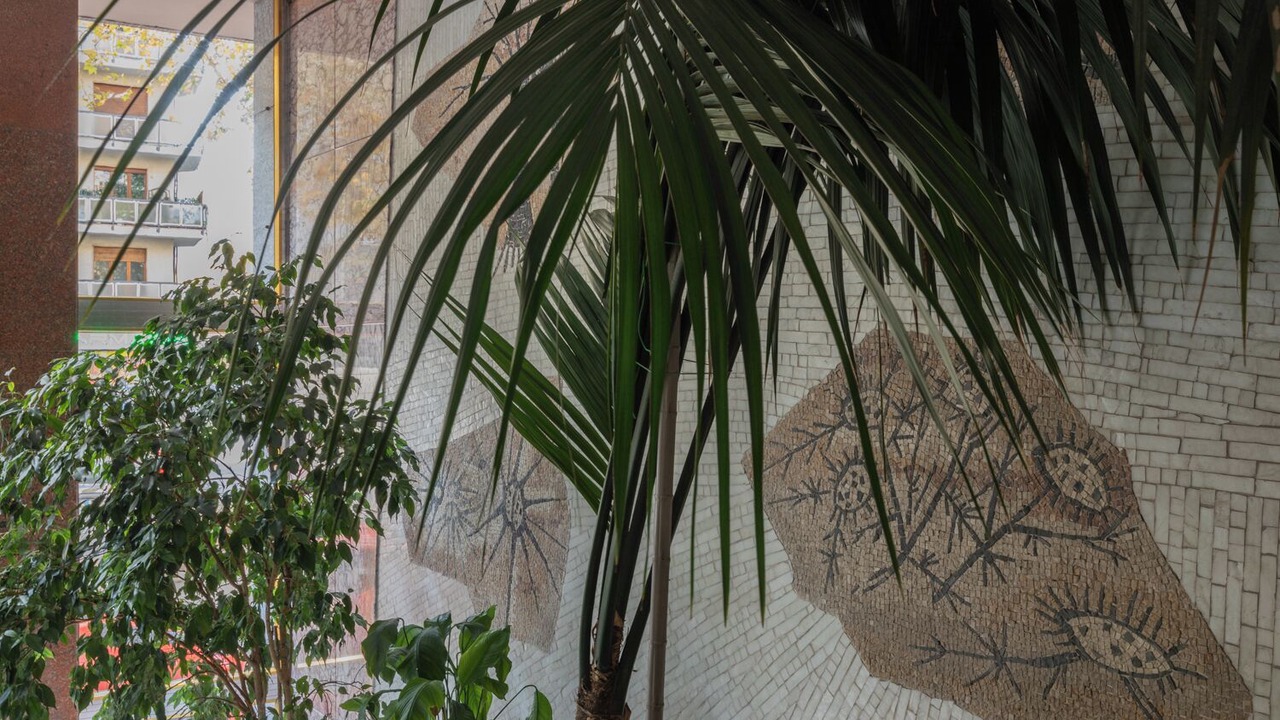 Photo of Outdoor in Parella