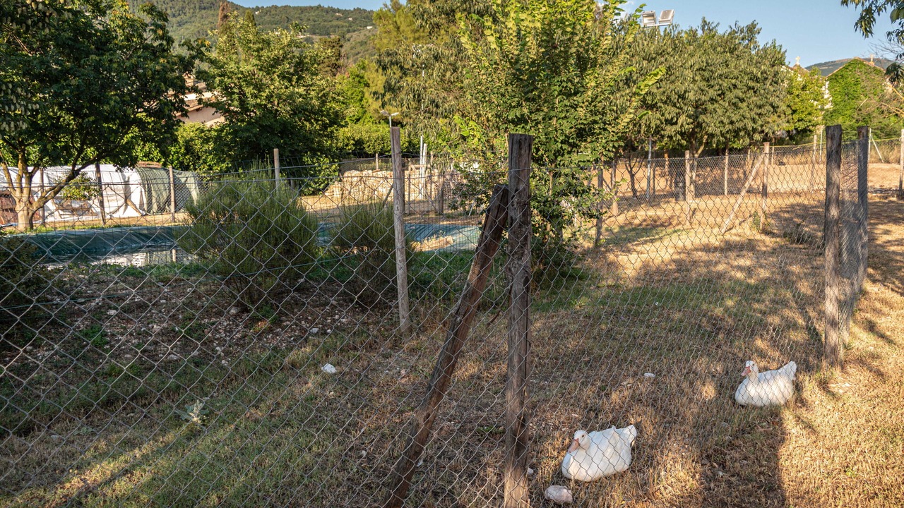 Photo of Outdoor in Campello sul Clitunno