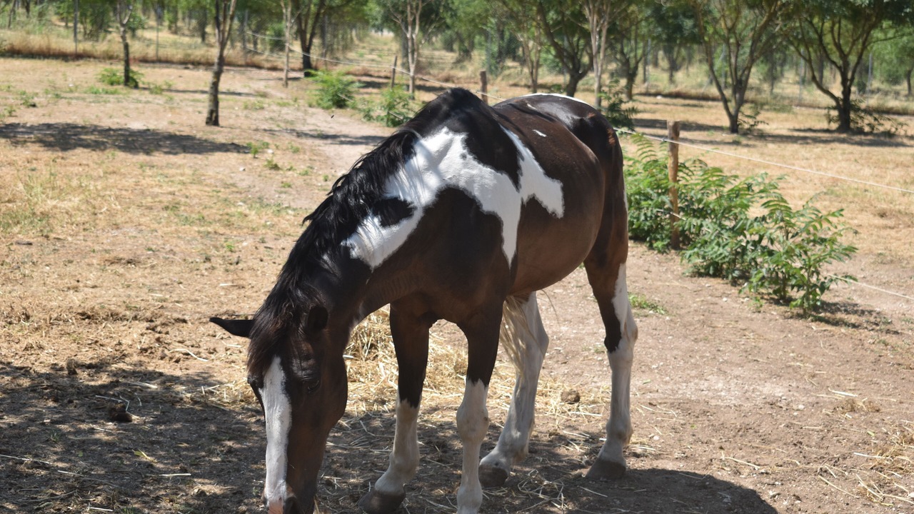 Photo of Outdoor in Campello sul Clitunno