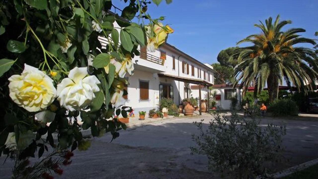 Photo of Outdoor in Capalbio