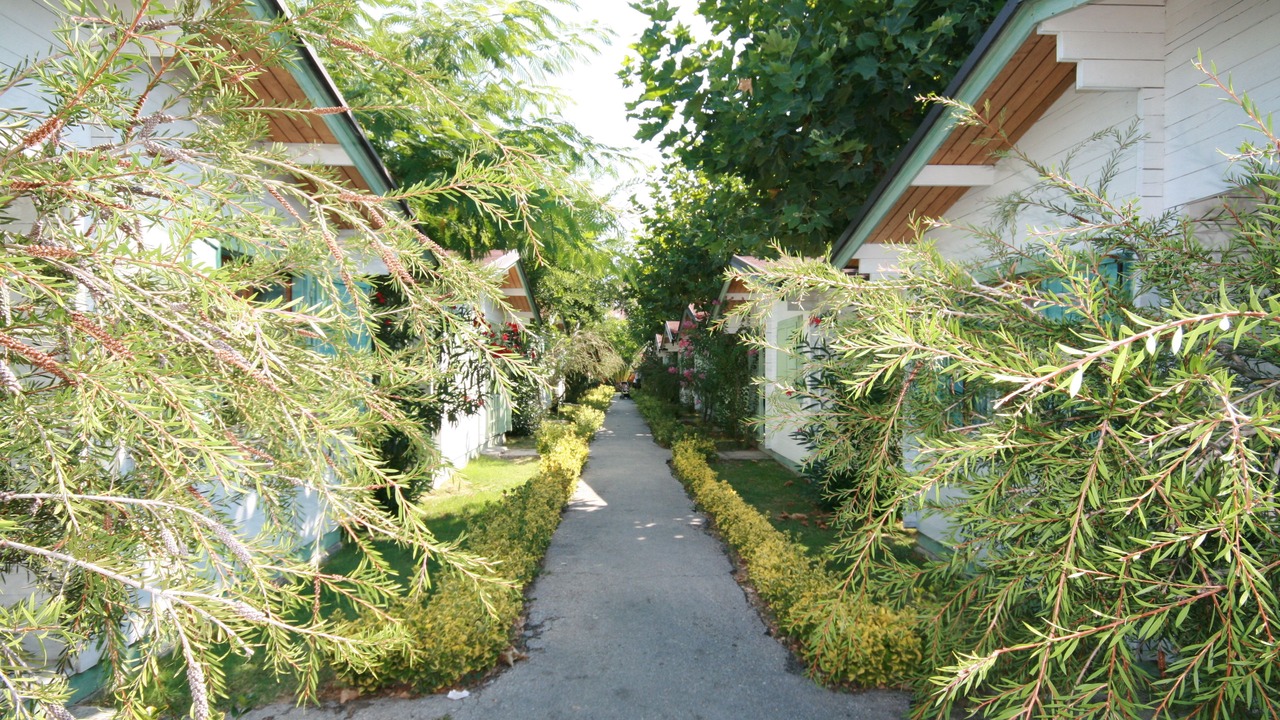 Photo of Outdoor in Marcelli