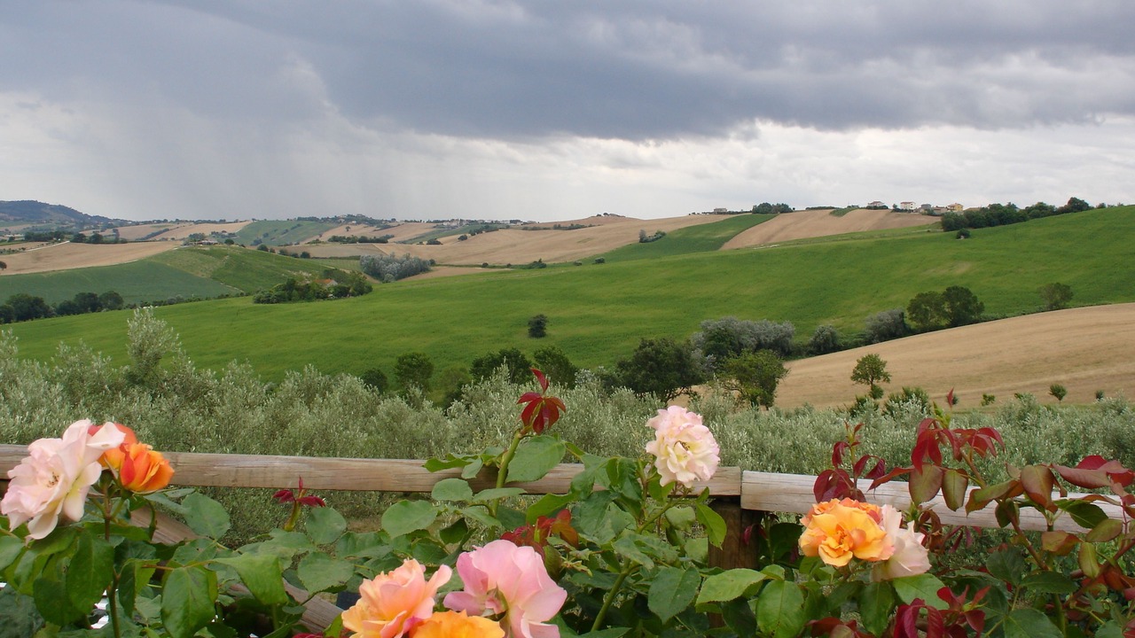 Photo of Outdoor in Recanati