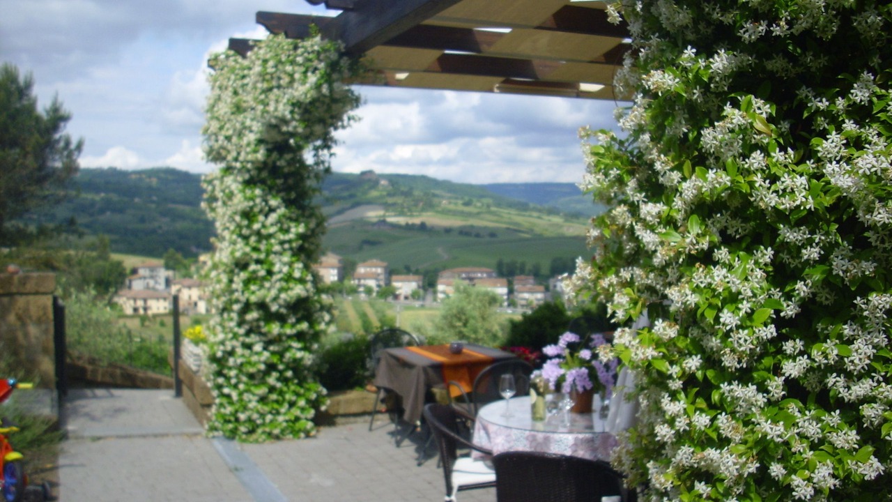 Photo of Others in Orvieto