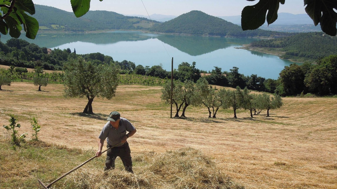Photo of Outdoor in Pieve Santo Stefano