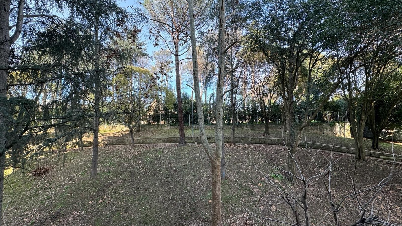 Photo of Outdoor in Rome