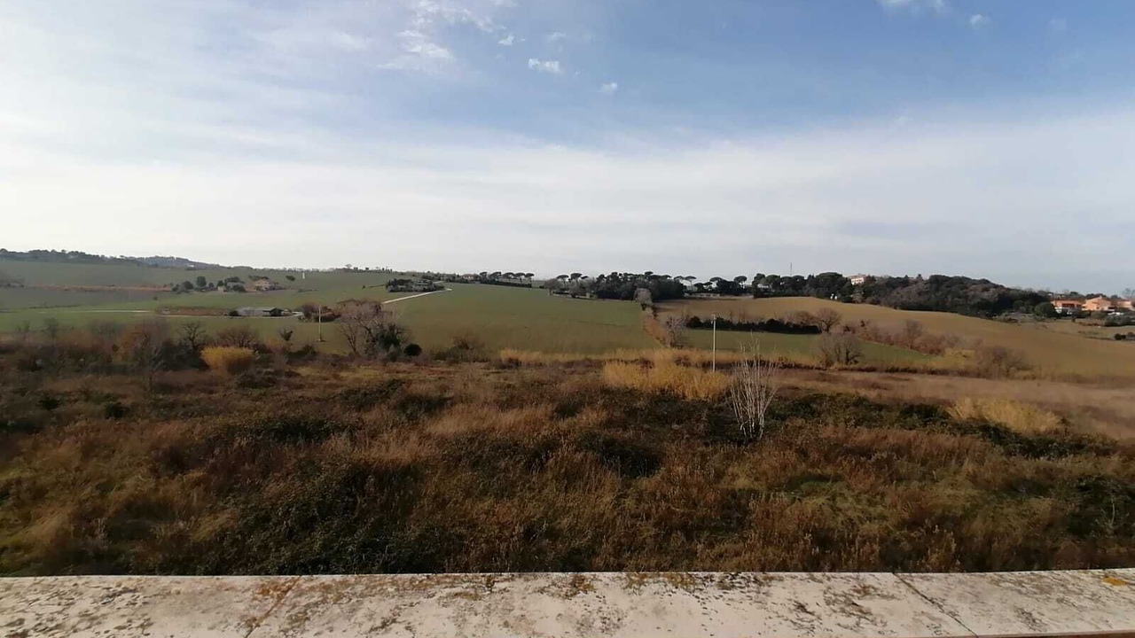 Photo of Outdoor in Palombina Nuova